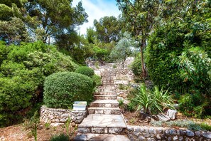 Stroll through a lush garden setting, surrounded by greenery and a rustic stone staircase.