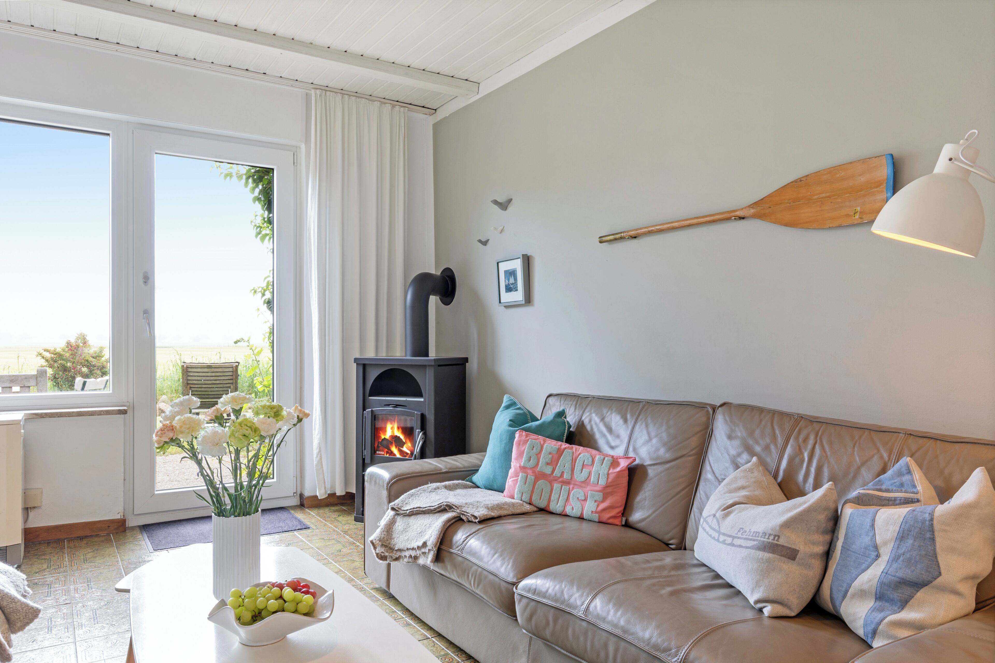 Smart TV, chimenea, reproductor de DVD, libros