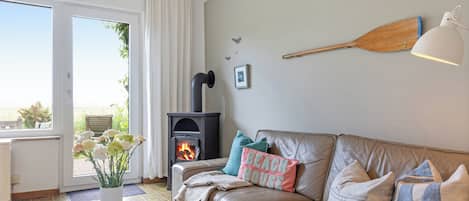 Smart TV, chimenea, reproductor de DVD, libros