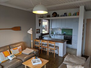 Smart TV, fireplace, DVD player, books