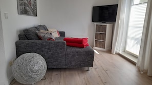 TV, DVD player, books, music library