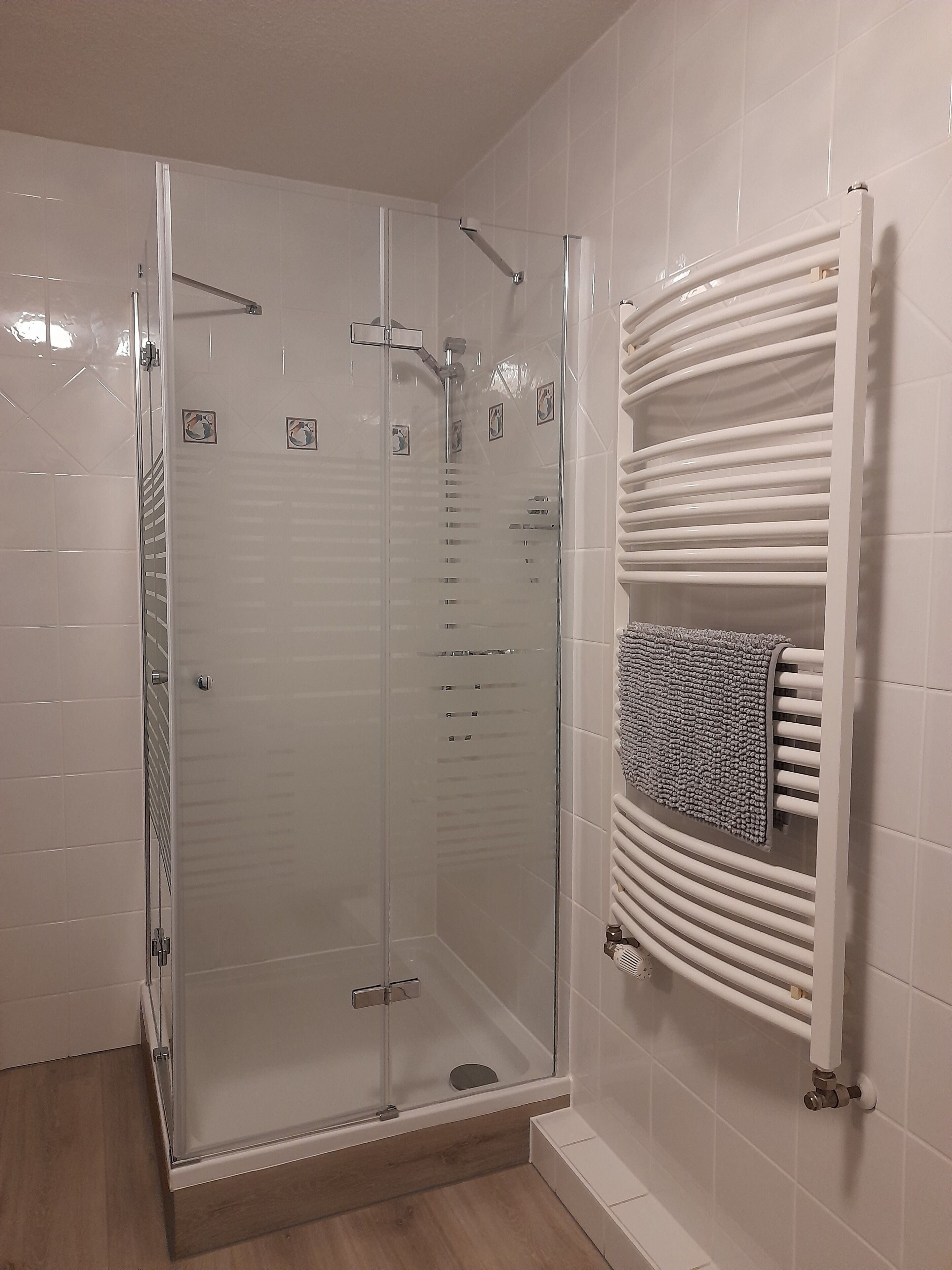 Dusche, Haartrockner, Handtücher, Seife