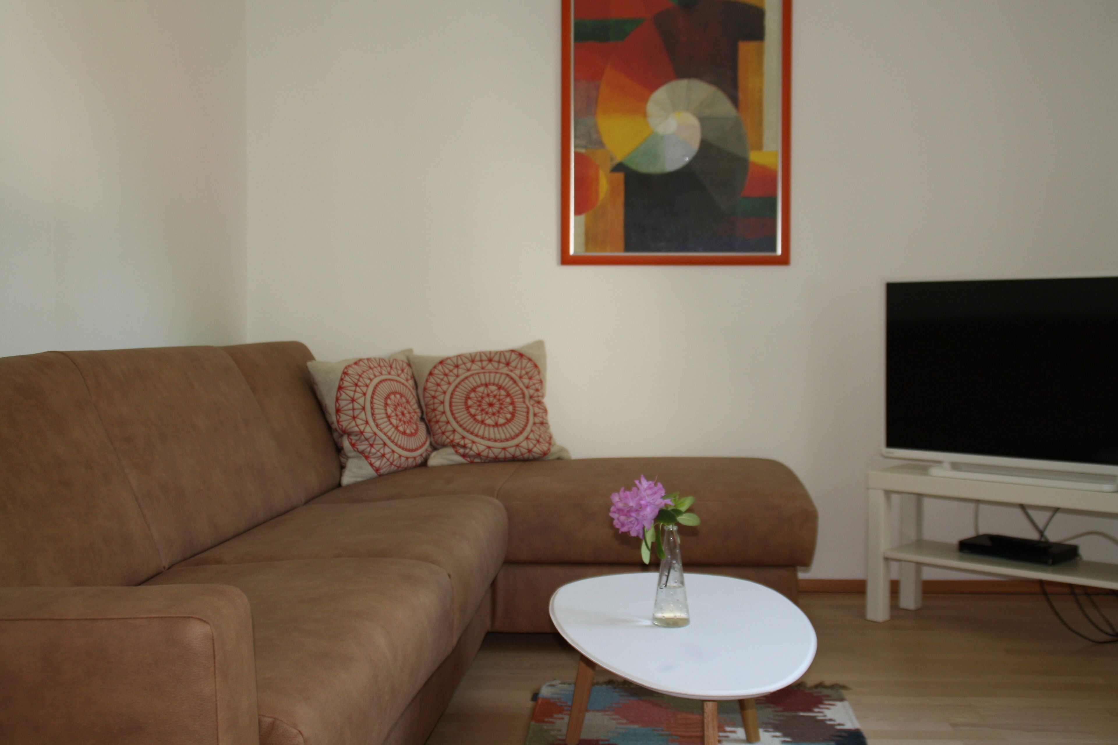 Télévision, lecteur de DVD, livres