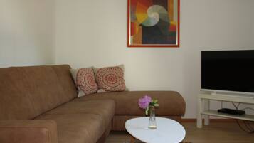 Télévision, lecteur de DVD, livres