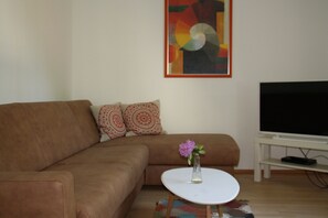 Télévision, lecteur de DVD, livres