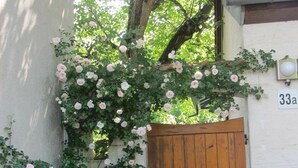 Une porte en bois, un banc et un arbre aux fleurs roses.