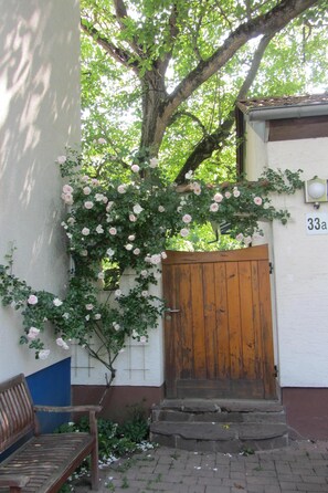 Détail de l’extérieur