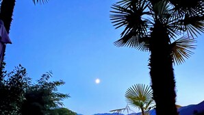 Un patio con vista a un cuerpo de agua, una palmera y un jarrón grande.