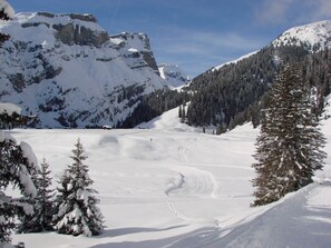 Snow and ski sports