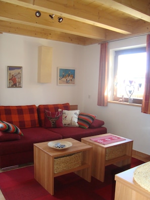 TV, fireplace, DVD player, books - Luxury 10 people hpuse near to a lift and loipe, 1700 m high (Krimml)