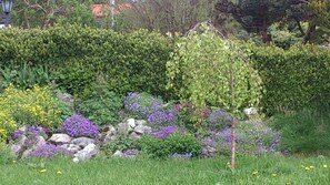 المنطقة المحيطة بالمنشأة