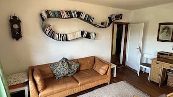TV, fireplace, DVD player, toys