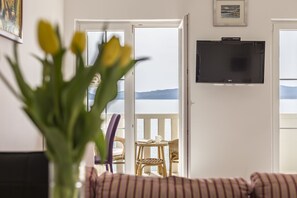 TV, fireplace, stereo - 3 m to the beach ...... (Mimice)