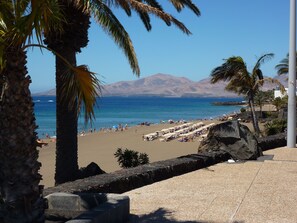 A beach with palm trees, a stone wall, and a view of the ocean and mountains. - Beautiful house with solarheated and private pool (Tias)