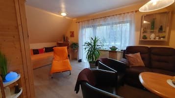 Fernseher, DVD-Player