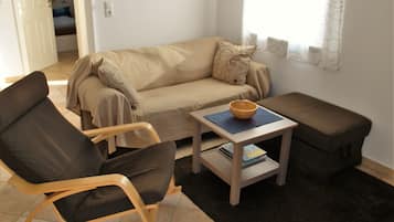 TV, DVD player, books, video library