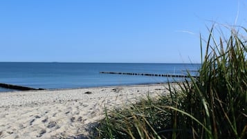 Playa en los alrededores