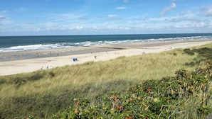 A beach with a grassy foreground and a view of the ocean. - «Het Fitschhuisje» Cozy cottage in the park "De Kreek" - Free Wi-Fi (Bruinisse)