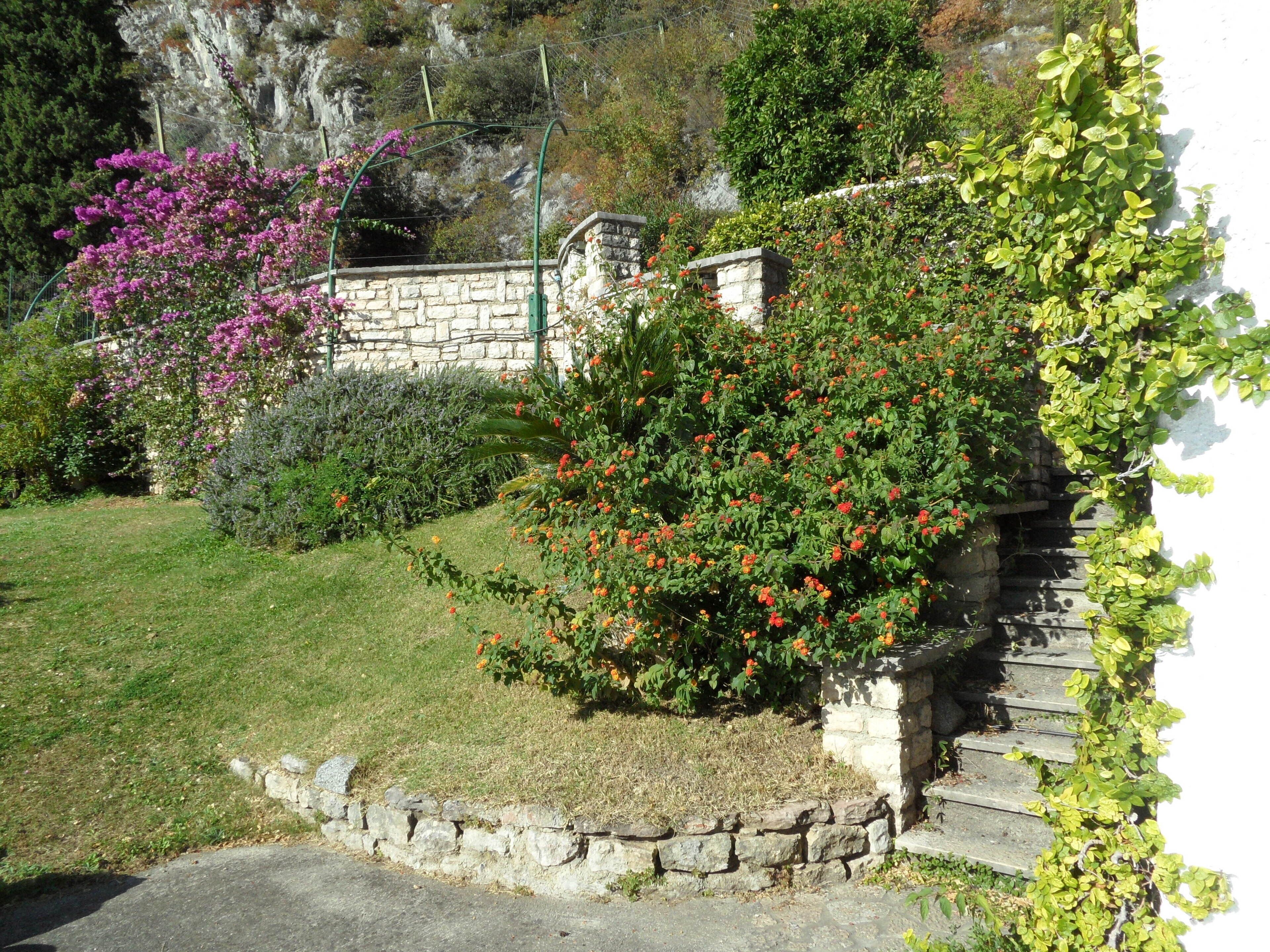 Ein Garten mit Steinmauer, Rasenfläche und verschiedenen blühenden Pflanzen.