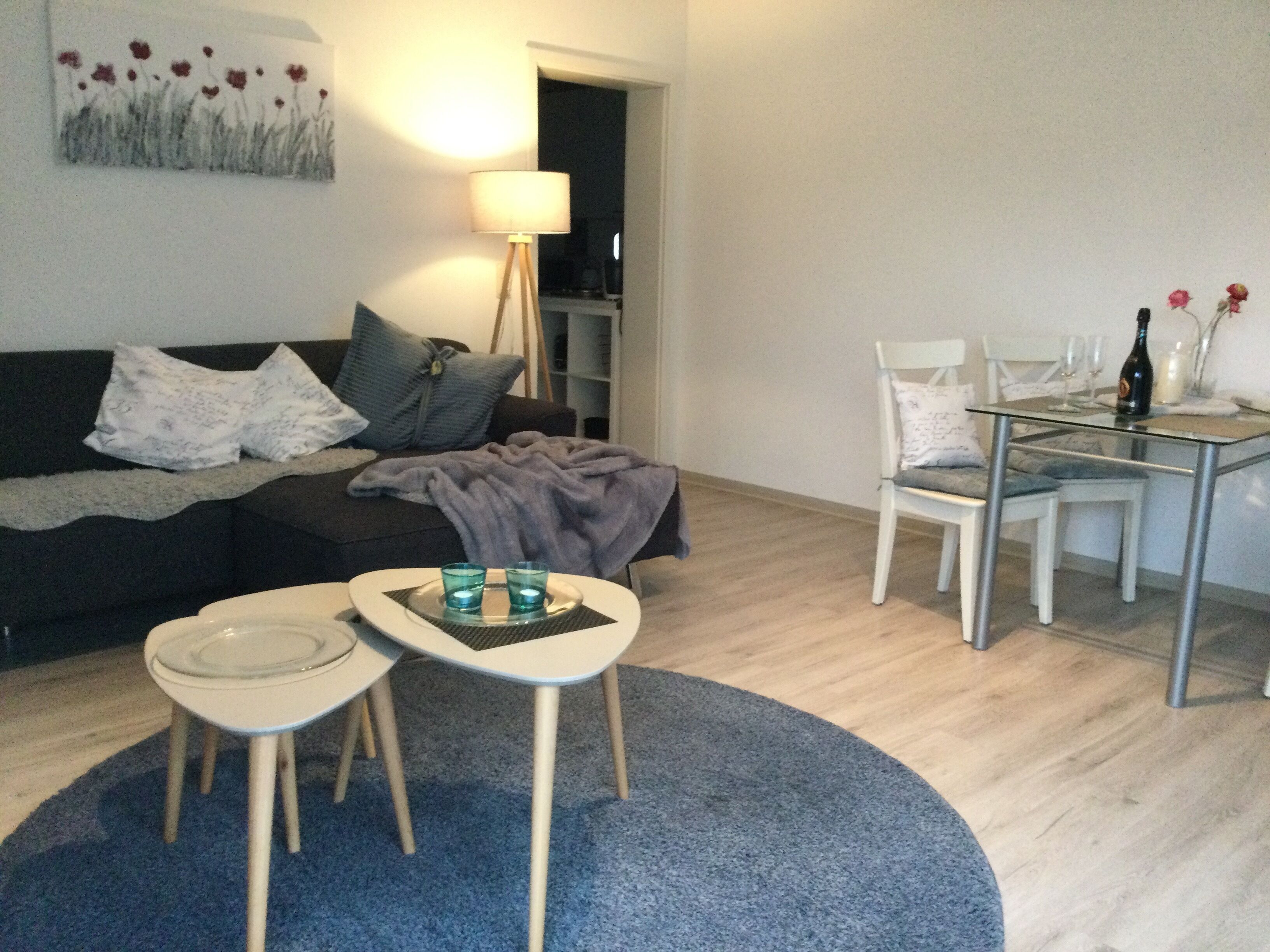 Televisión, reproductor de DVD, libros y videoteca 