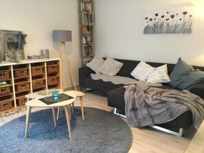 Téléviseur, lecteur de DVD, livres, sélection de films