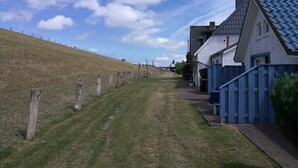 Paesaggio rurale con un sentiero erboso che conduce a una fila di case con recinzioni blu e cielo sereno.