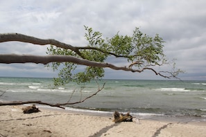 A beach with a tree branch overhanging the sand, waves in the background, and a cloudy sky.