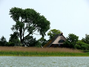 A house with a thatched roof, surrounded by trees and a body of water.