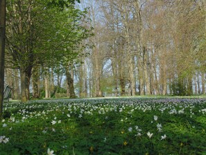 Sit and unwind in a serene park setting surrounded by a variety of trees and vibrant flowers.