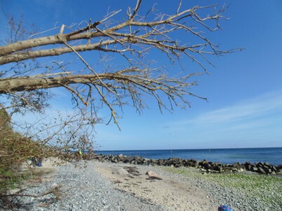 Haus Strandblume, Guest on Rügen -zirka 300 m from the beach 
