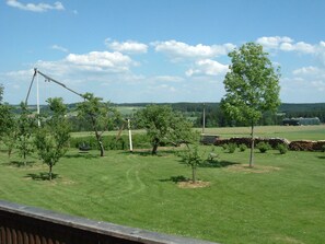 Property grounds - Former farmhouse in a quiet outskirts. Pets are welcome. (Aichhalden)