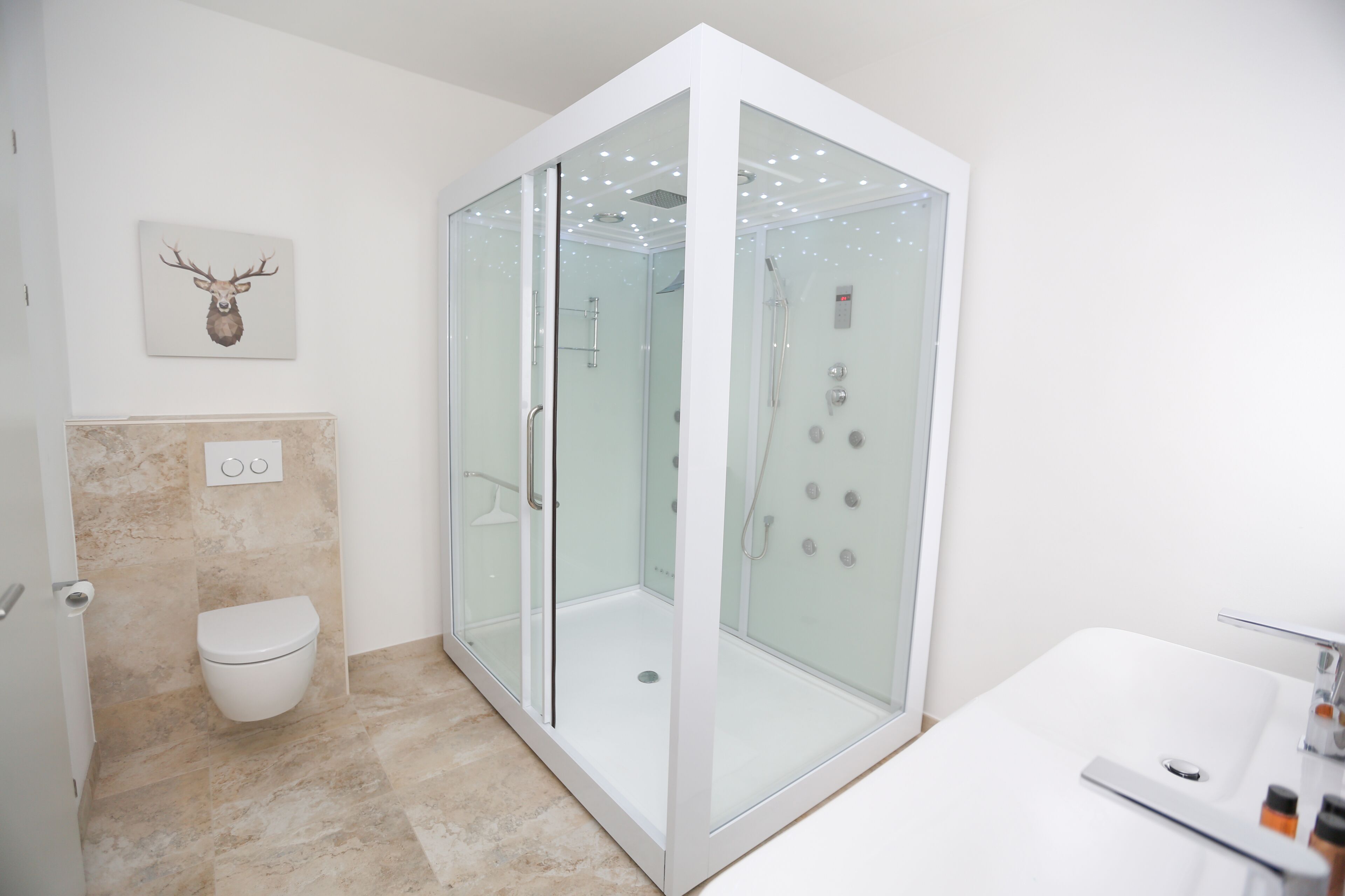 Dusche, Haartrockner, Seife