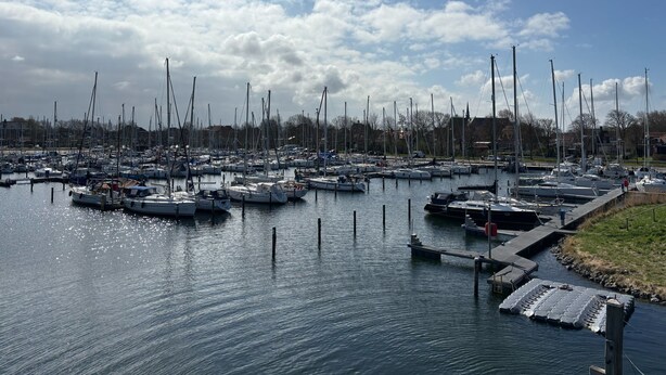 A marina with numerous boats docked, calm water, and a clear sky.