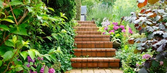Ruhige charmante Ferienwohnung mit Blick auf die Weinberge!