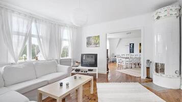 Televisie, een open haard, een dvd-speler en boeken