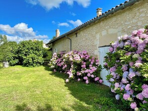 A stone building with a garden featuring hydrangea bushes.