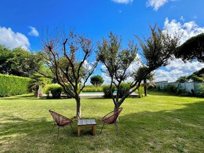 A grassy outdoor area with two trees, a wooden table, and two chairs.