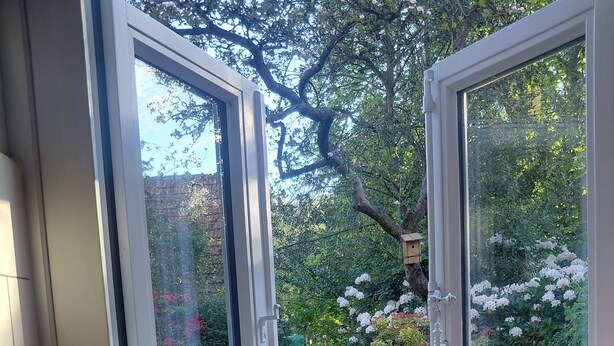 A window with a view of a garden, a white door, and a light fixture on the windowsill.