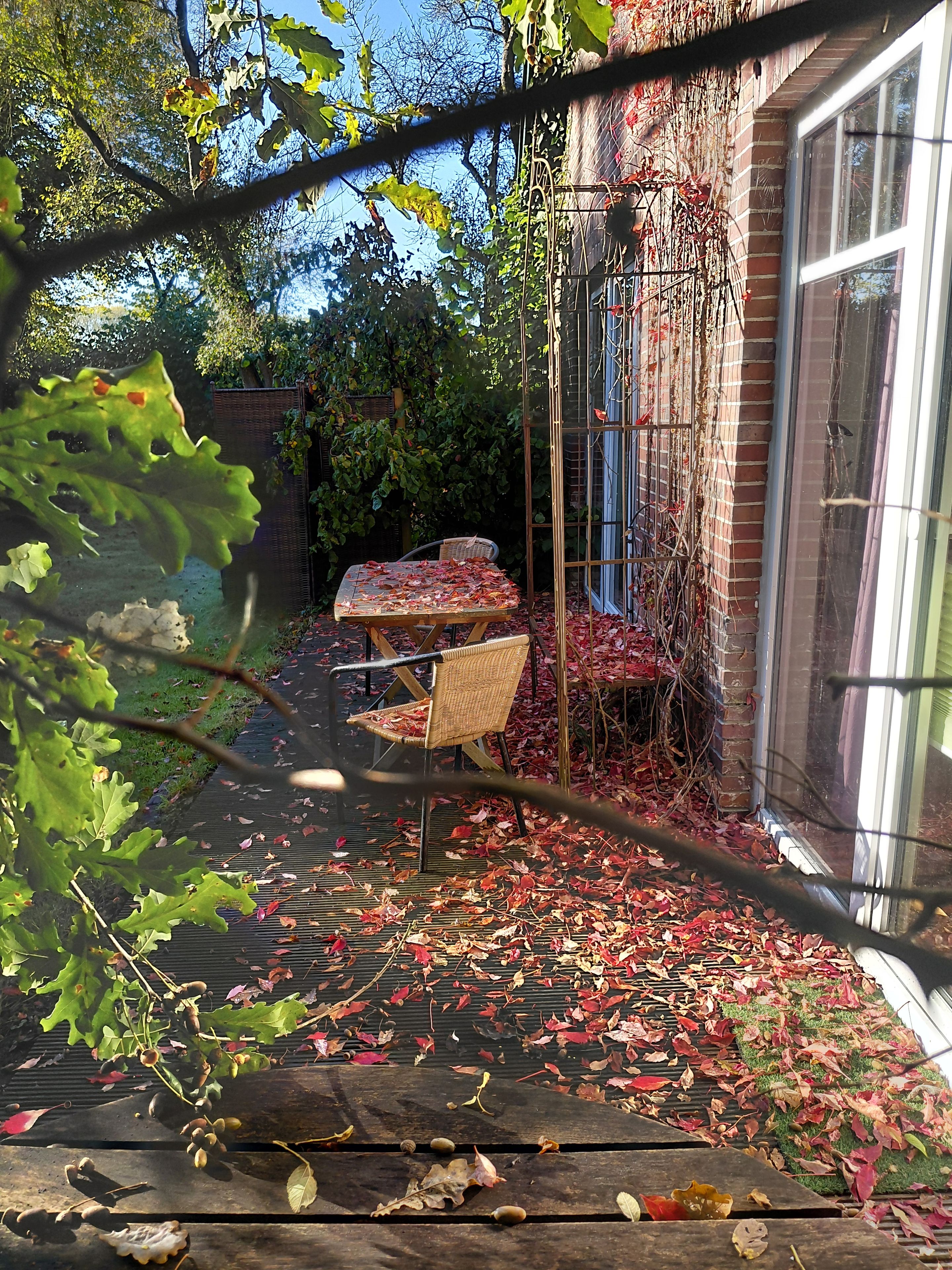 Un jardín con una mesa y sillas, rodeado por un muro de ladrillo y una ventana.