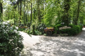 Terrain de l’hébergement 