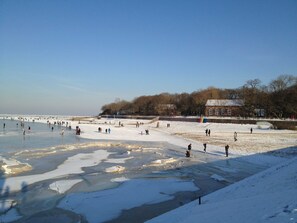 Unclassified image, 5 of 85, button