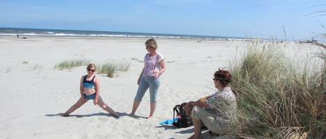 在海灘附近、躺椅