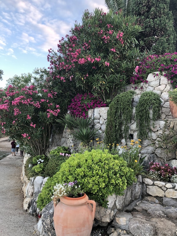 Un jardin agrémenté de fleurs roses, d’arbustes verts et d’un mur en pierre.