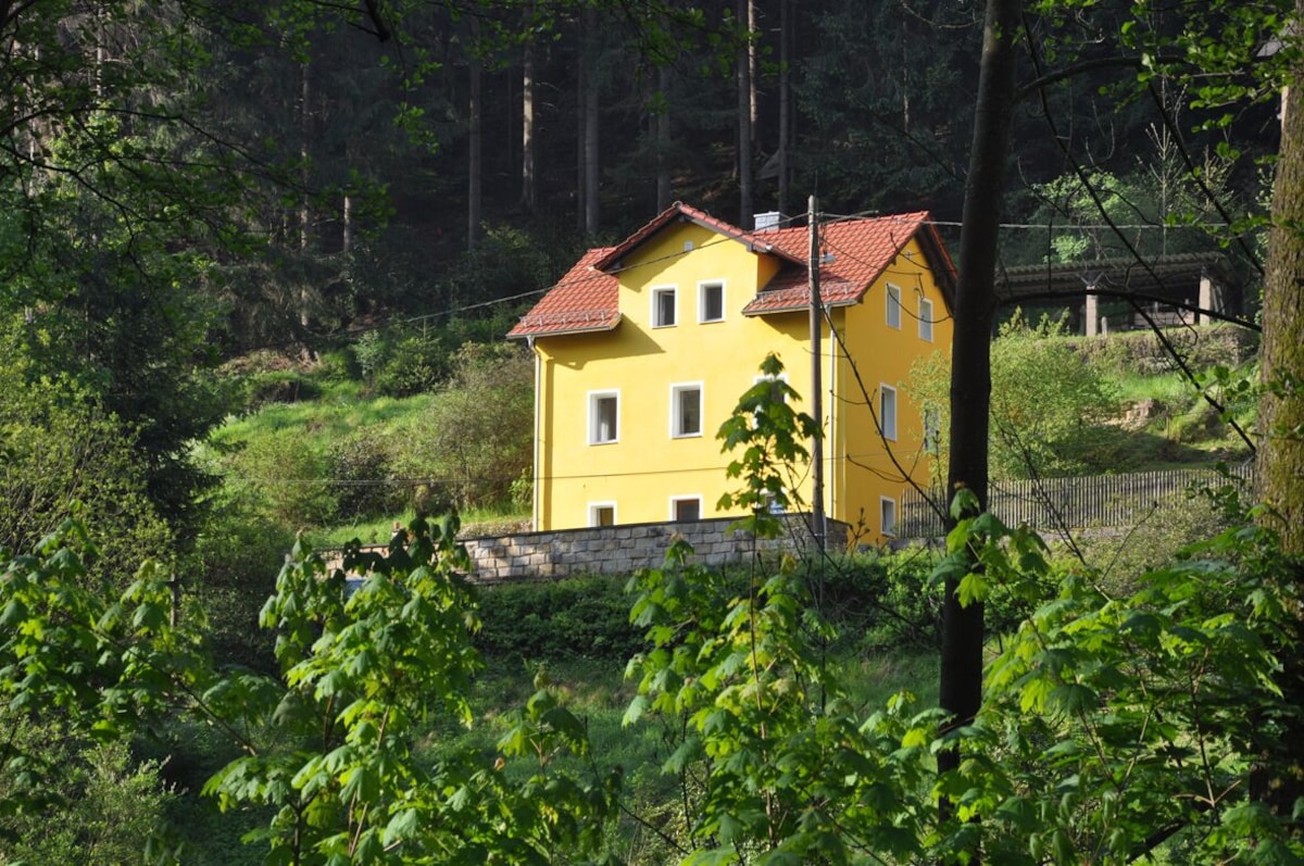 Image de profil de lâhĂŽte