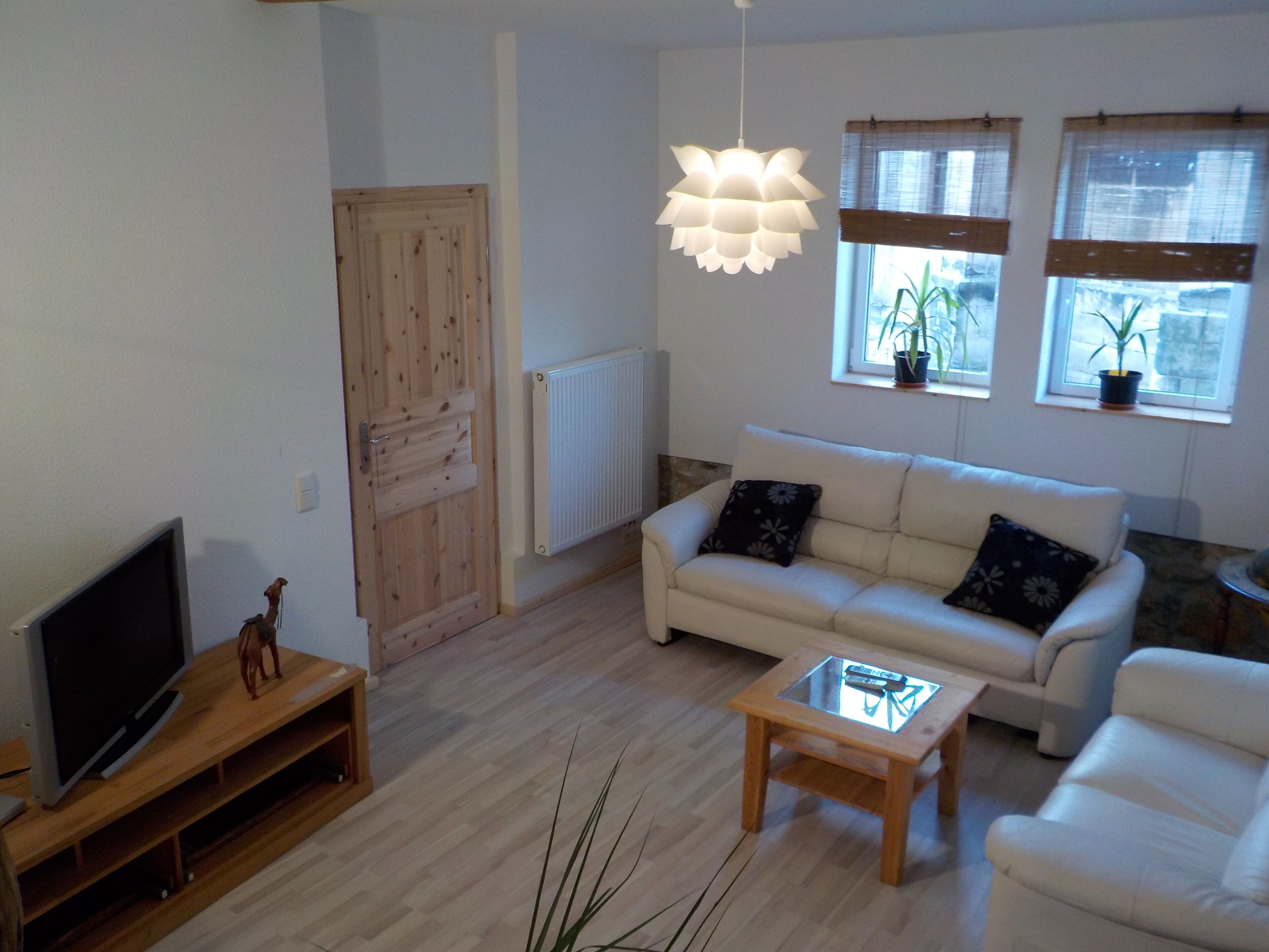 Televisio, DVD-soitin, kirjoja, musiikkikirjasto