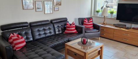 TV, DVD player, books, video library