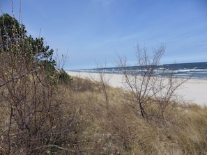 Playa en los alrededores