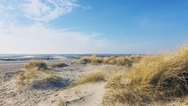 A sandy beach with dunes and a clear blue sky. - Modern comfort in Föhr's prime location (Nieblum)