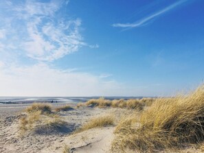 A sandy beach with dunes and a clear blue sky. - Modern comfort in Föhr's prime location (Nieblum)