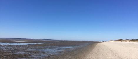 Playa en los alrededores